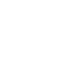 background-vector.png