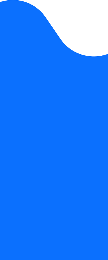 background-vector.png